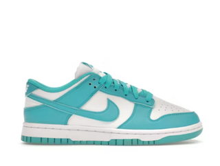 Nike Dunk Low Next Nature Dusty Cactus