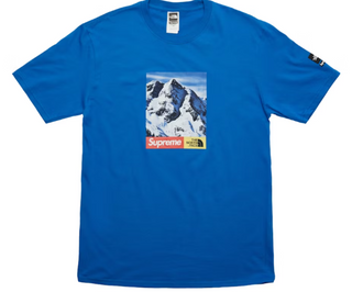 Supreme The North Face Mountain Tee Blue