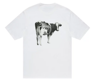 Stussy Grassfed Tee White